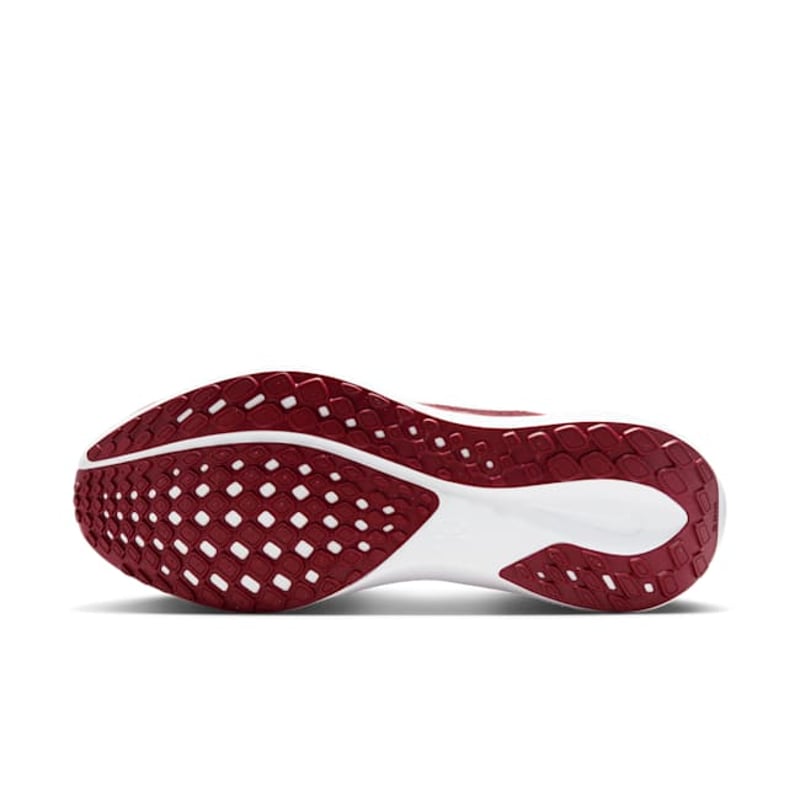 Nike Pegasus 41 x NFL FZ5077-600 02