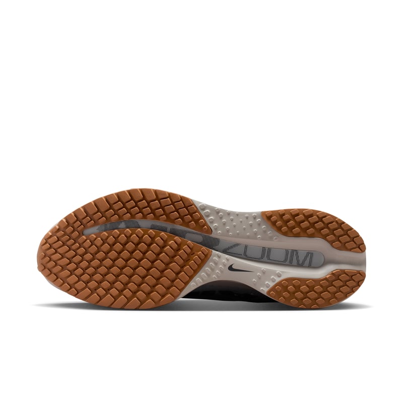 Nike Pegasus Premium HQ2592-010 02