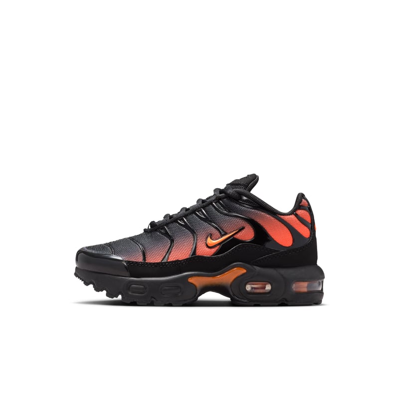 Nike Air Max Plus FZ0023-041 01