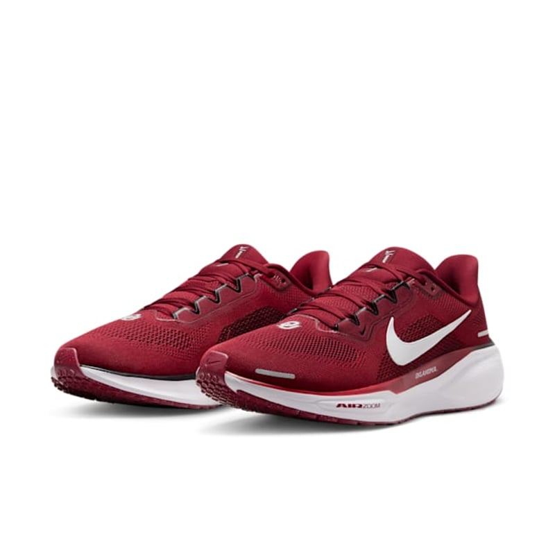Nike Pegasus 41 FZ5137-600 05