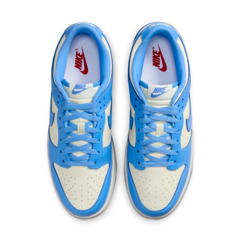 Nike Dunk Low Retro DV0833-113 04