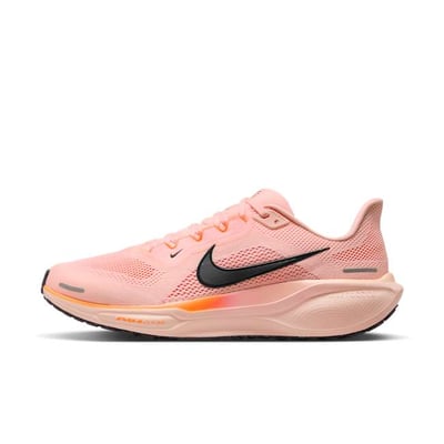 Nike Pegasus 41 FD2722-801
