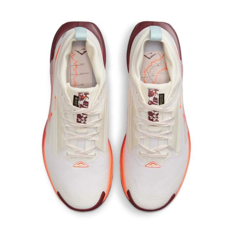 Nike Pegasus Trail 5 GORE-TEX FQ0912-104 04