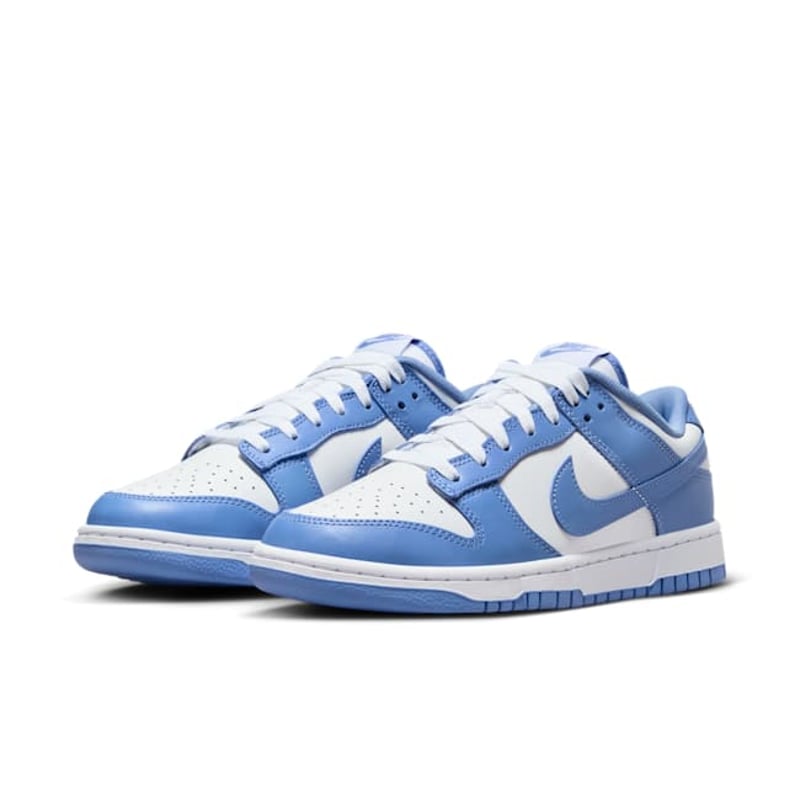 Nike Dunk Low Retro DV0833-400 05