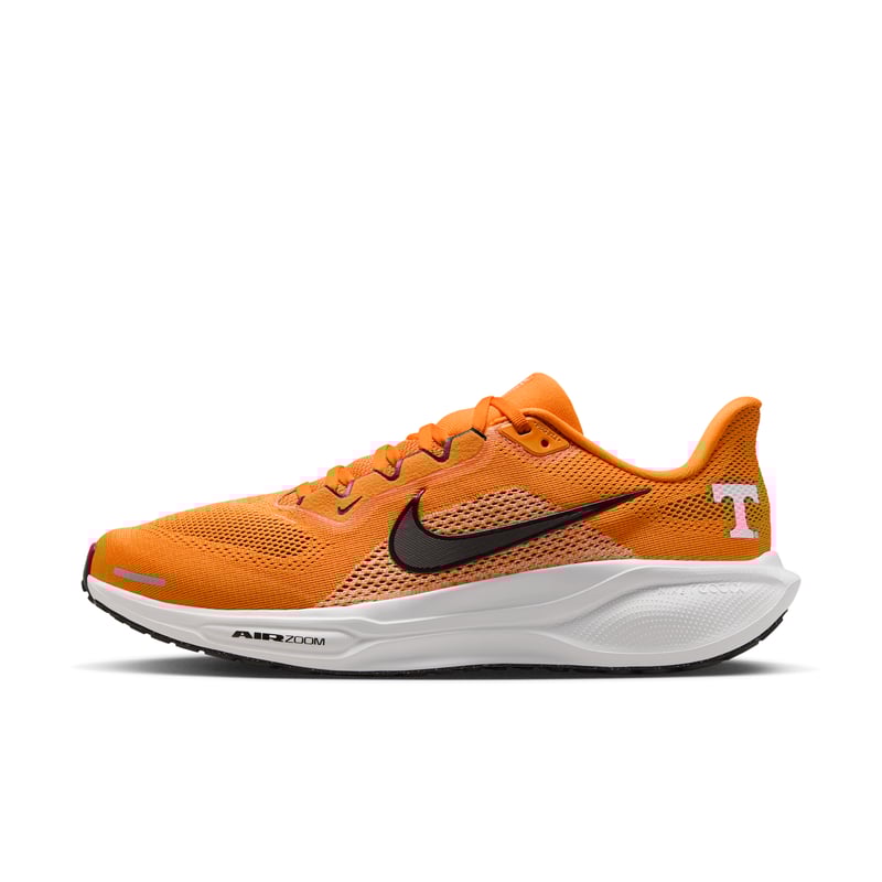 Nike Pegasus 41 IB3253-800 01