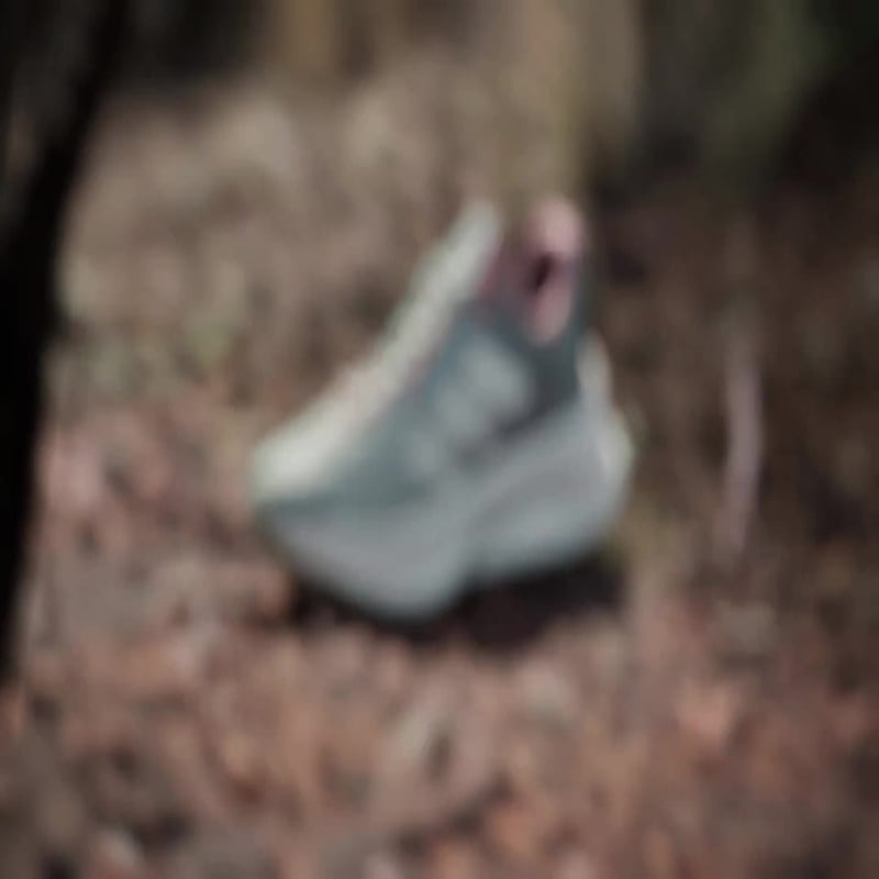 adidas Terrex Soulstride Flow JI1290 02