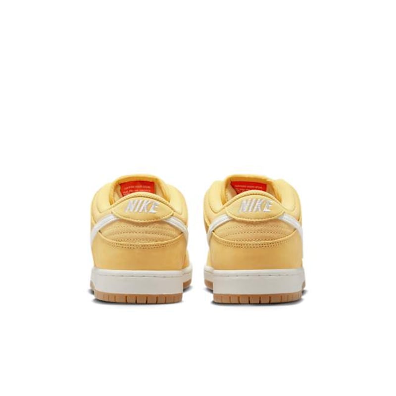 Nike SB Dunk Low FJ1674-700 06