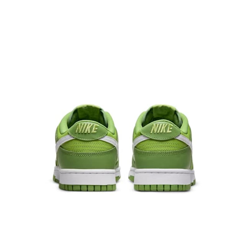 Nike Dunk Low DJ6188-300 06