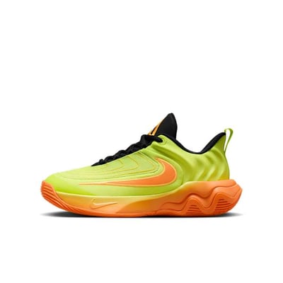 Nike Giannis Immortality 4 FZ6734-301