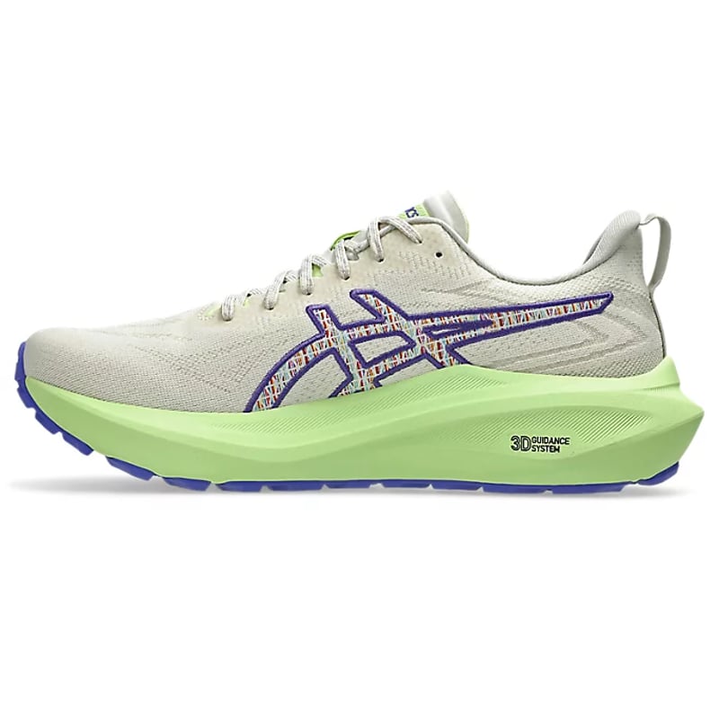 ASICS GT-2000 13 TR 1011C042-300 04