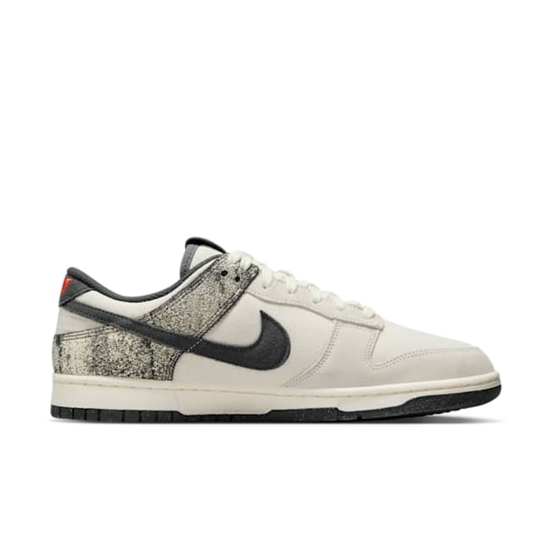 Nike Dunk Low Retro SE IB7720-110 03