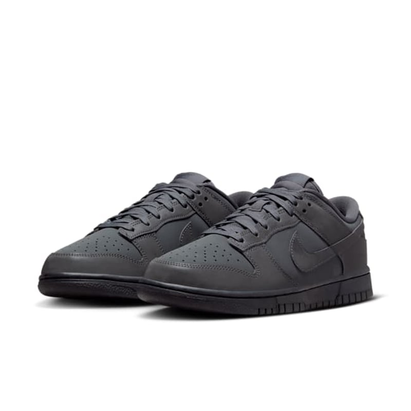 Nike Dunk Low FZ3781-060 05