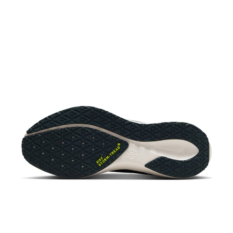 Nike Pegasus 41 GORE-TEX FQ1357-300 02