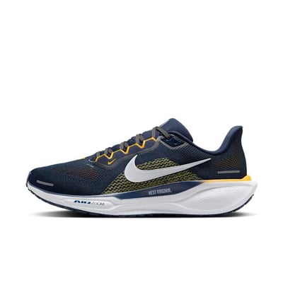 Nike Pegasus 41 FZ5153-400