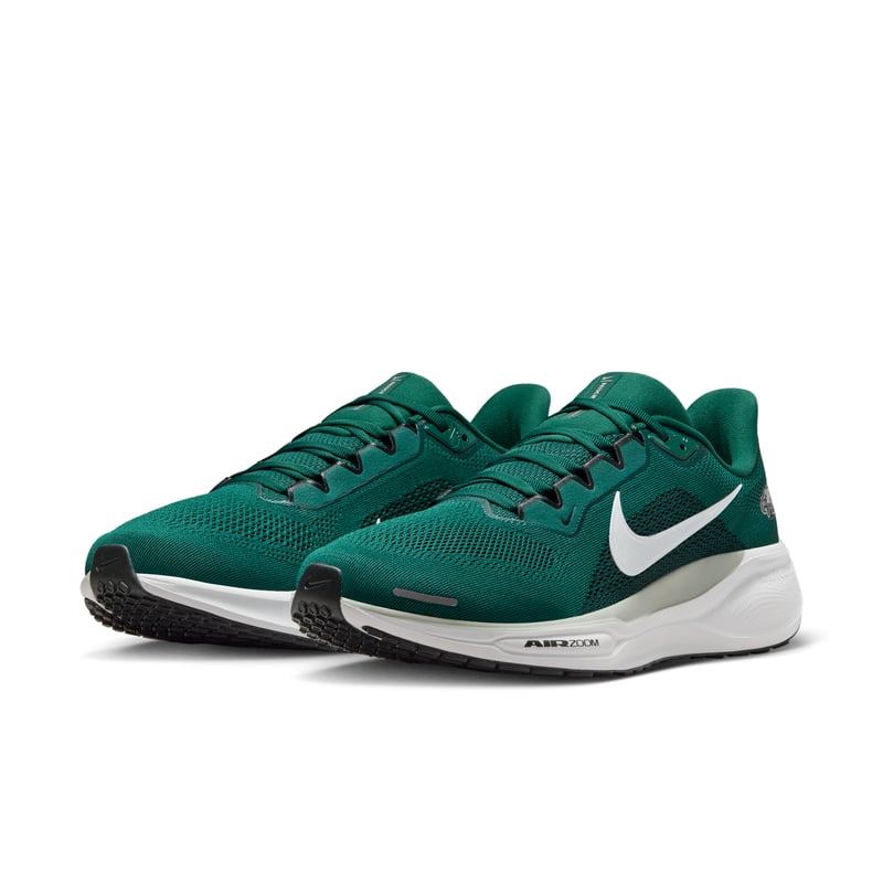 Nike Pegasus 41 x NFL IB3215-300 05