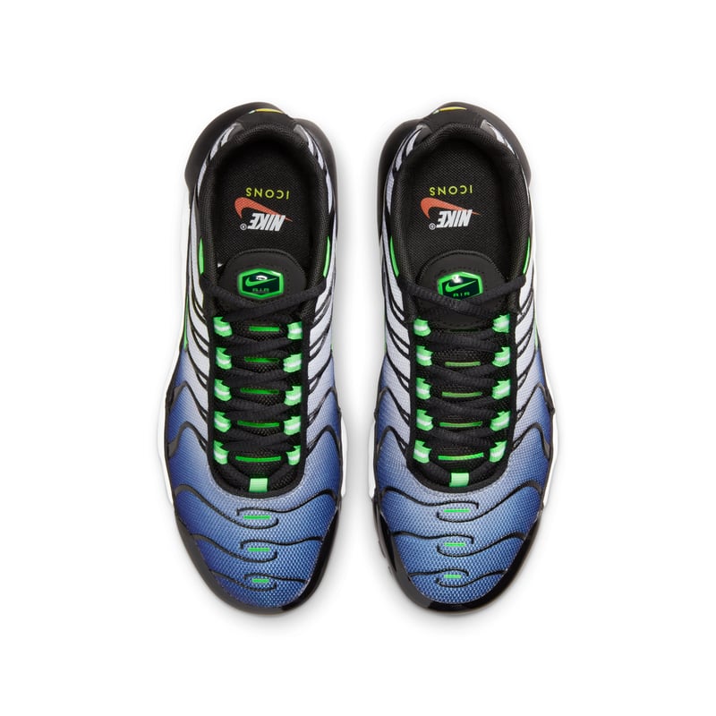 Nike Air Max Plus CD0609-021 04