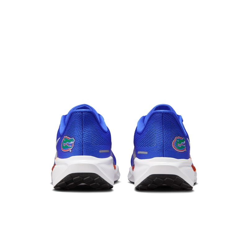 Nike Pegasus 41 IB3251-400 06