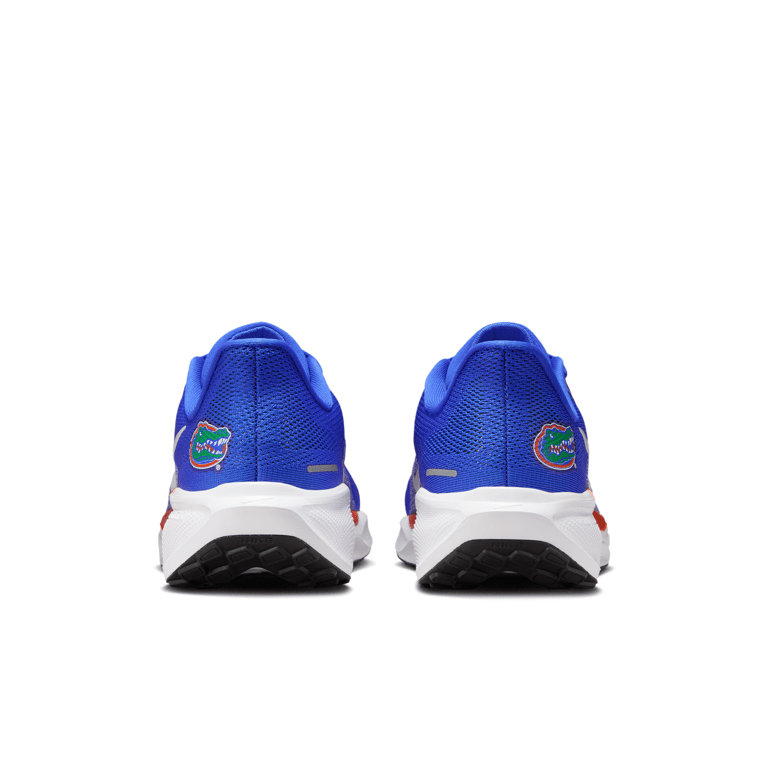 Nike Pegasus 41 IB3251-400 06