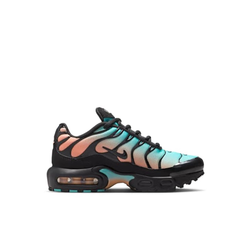 Nike Air Max Plus FZ0023-037 03