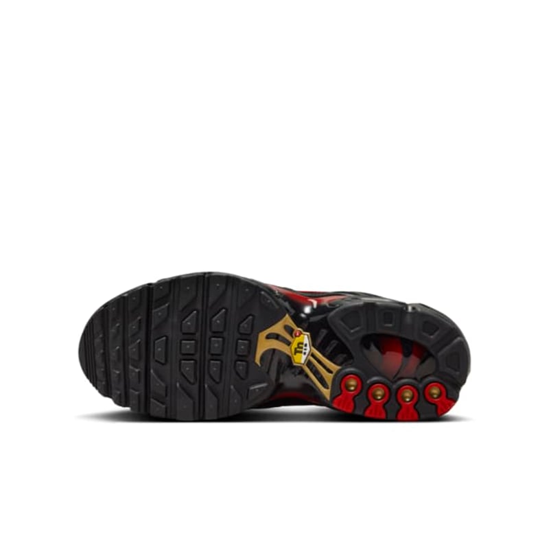 Nike Air Max Plus HV2891-001 02
