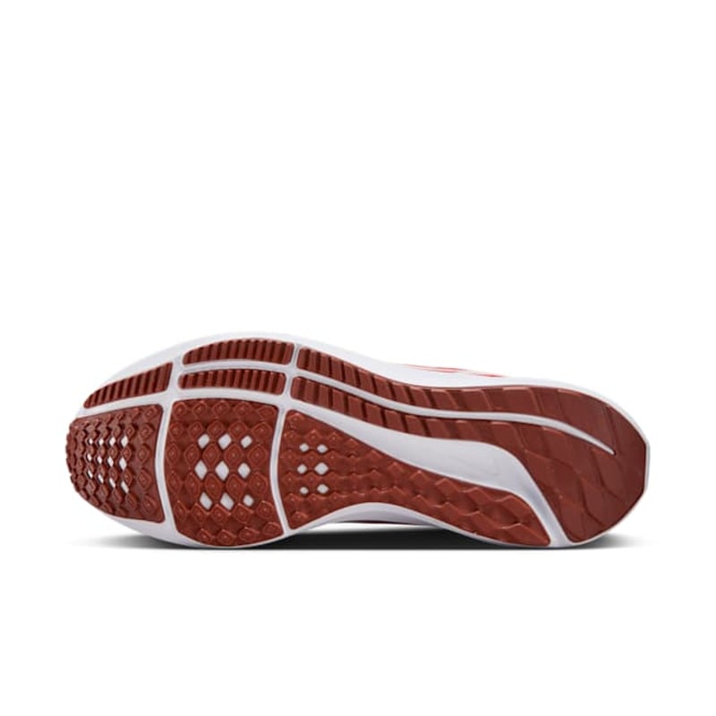 Nike Pegasus 40 DV3853-600 02