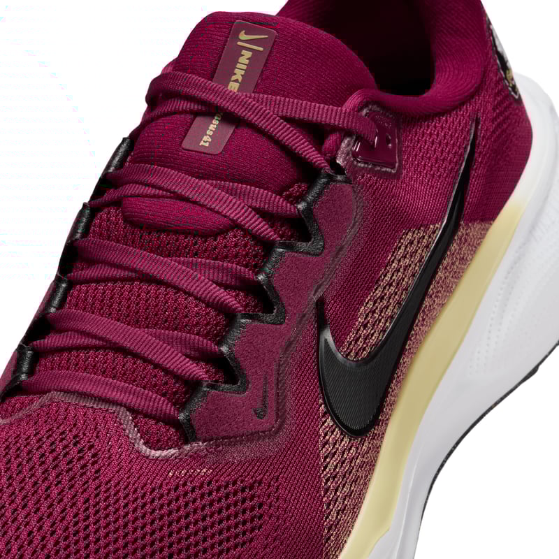 Nike Pegasus 41 IB3255-600 07