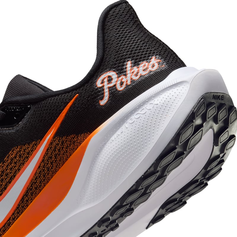 Nike Pegasus 41 FZ5136-002 08