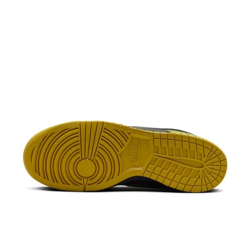 Nike Dunk Low Retro HV6103-300 02