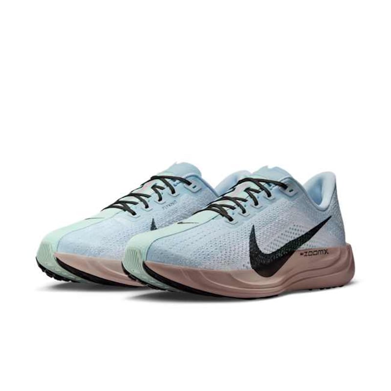 Nike Pegasus Plus FQ7262-406 05