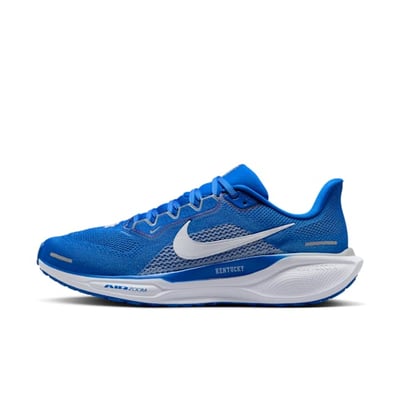 Nike Pegasus 41 FZ5117-400