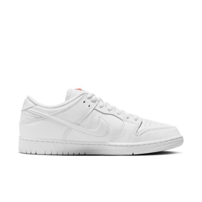 Nike SB Dunk Low Pro FJ1674-100 03