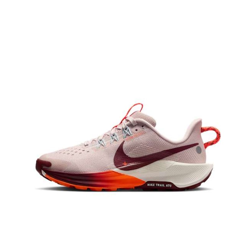 Nike Pegasus Trail 5 FV5638-601 01