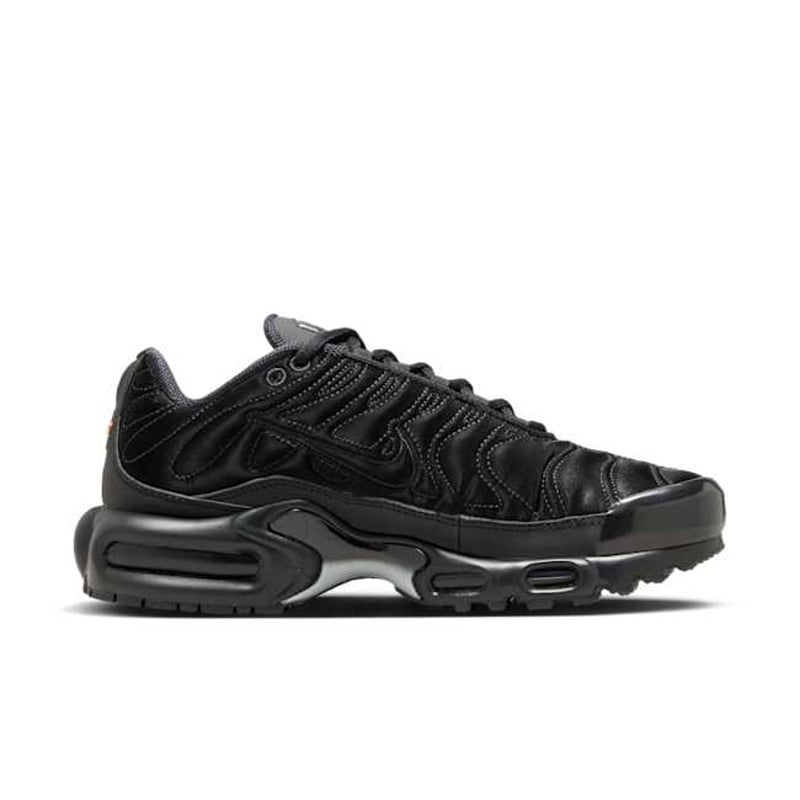 Nike Air Max Plus FV1169-001 03