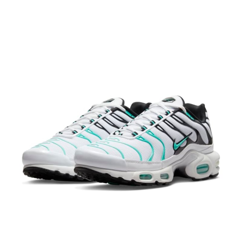 Nike Air Max Plus x Atmos 604133-148 05