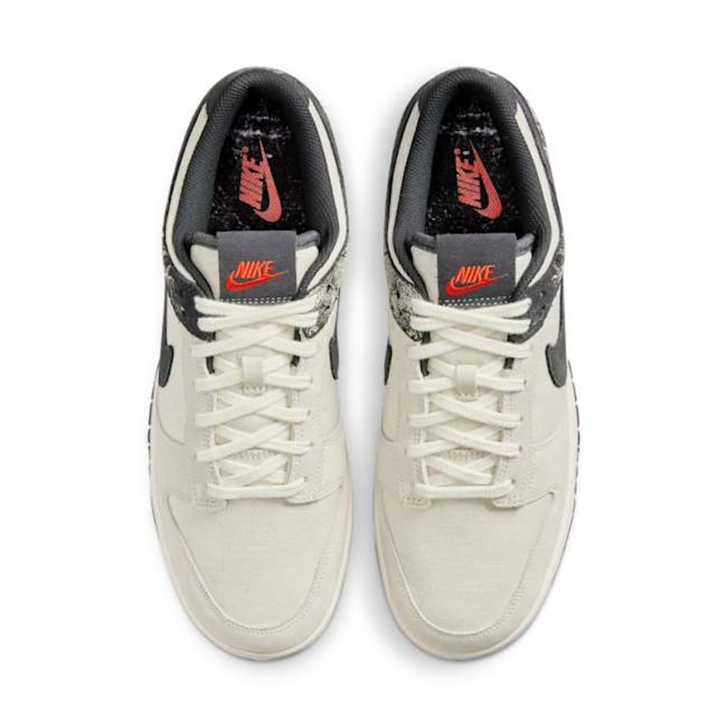 Nike Dunk Low Retro SE IB7720-110 04
