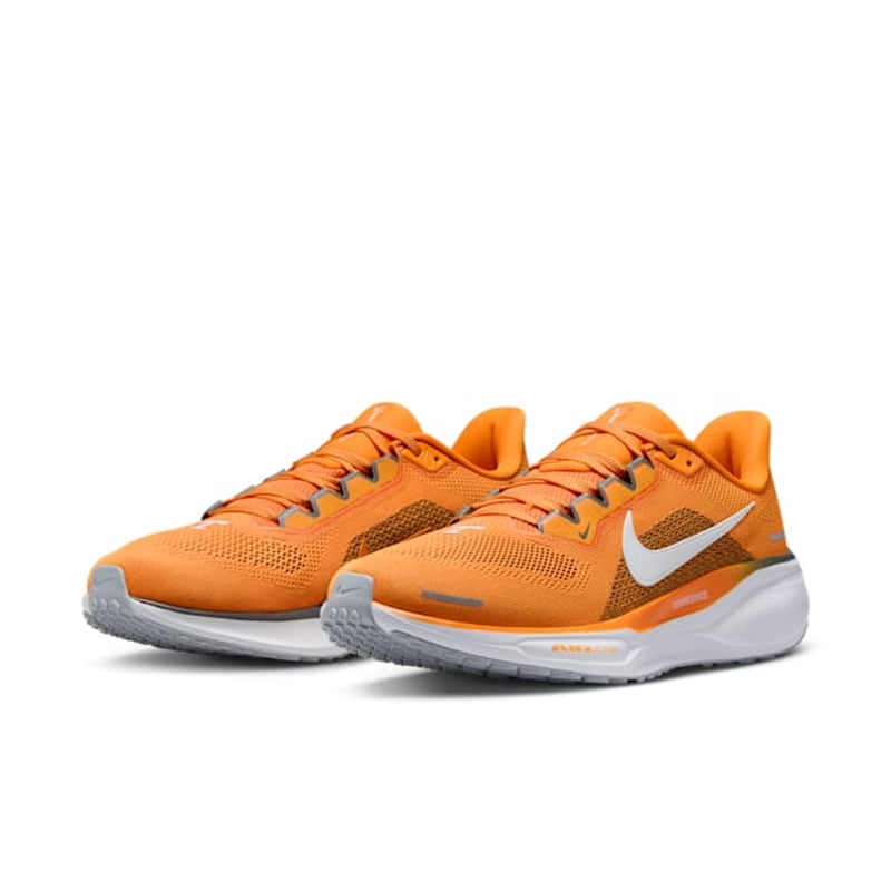 Nike Pegasus 41 FZ5144-800 05