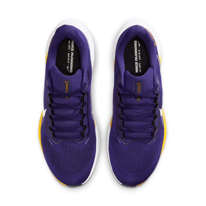 Nike Pegasus 41 IB3248-500 04