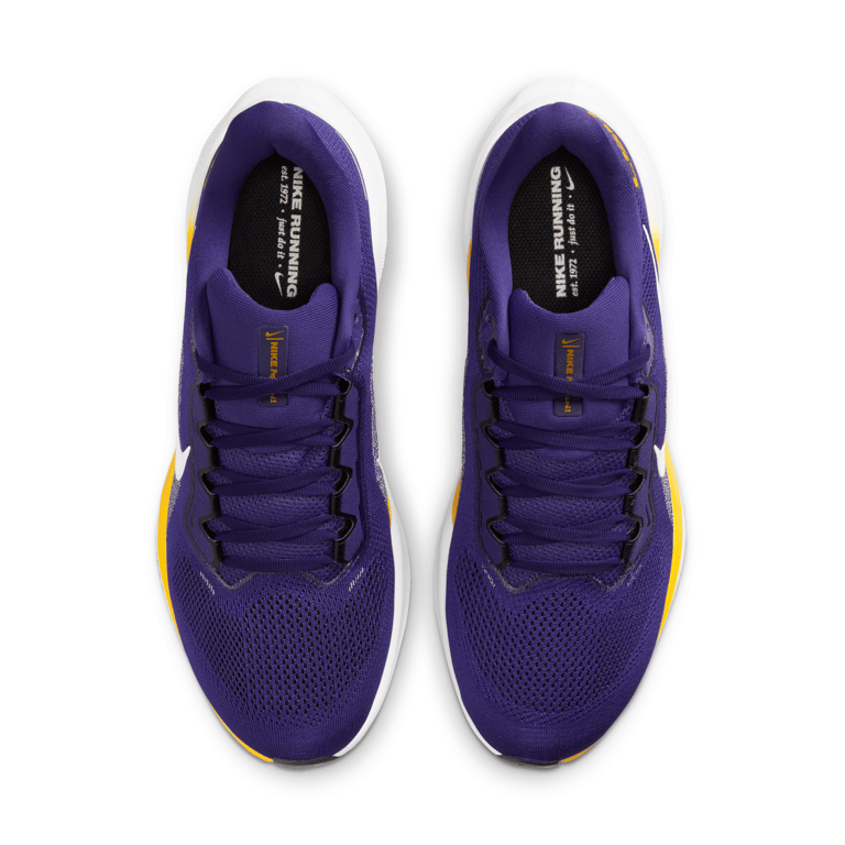 Nike Pegasus 41 IB3248-500 04