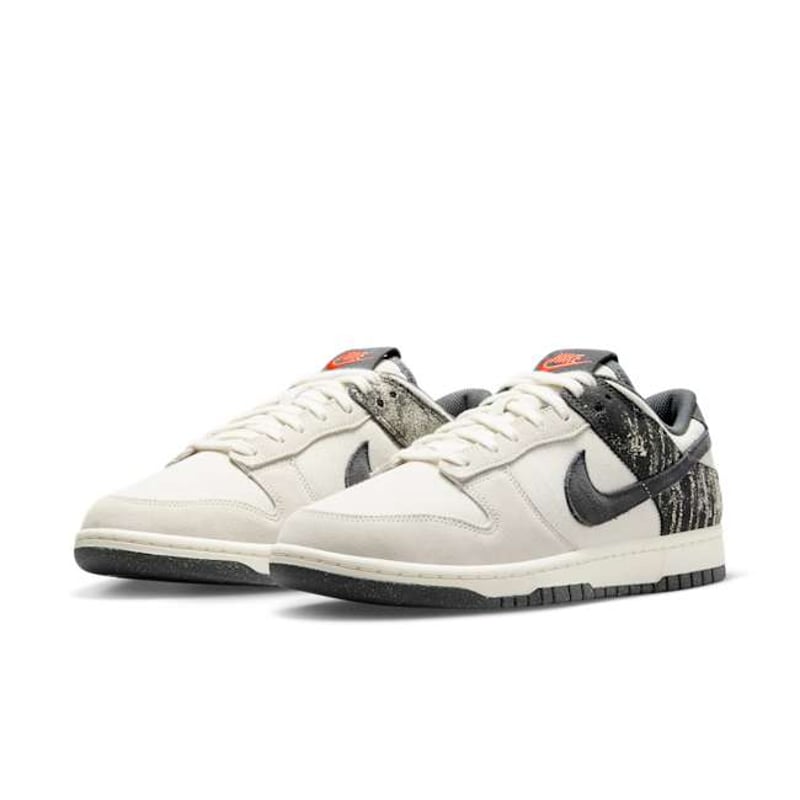 Nike Dunk Low Retro SE IB7720-110 05