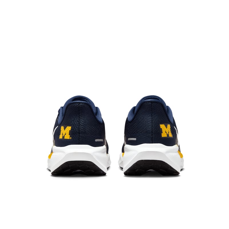 Nike Pegasus 41 IB3269-400 06