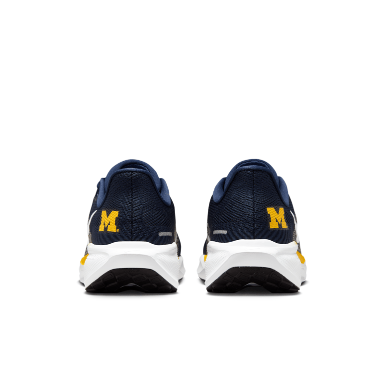 Nike Pegasus 41 IB3269-400 06