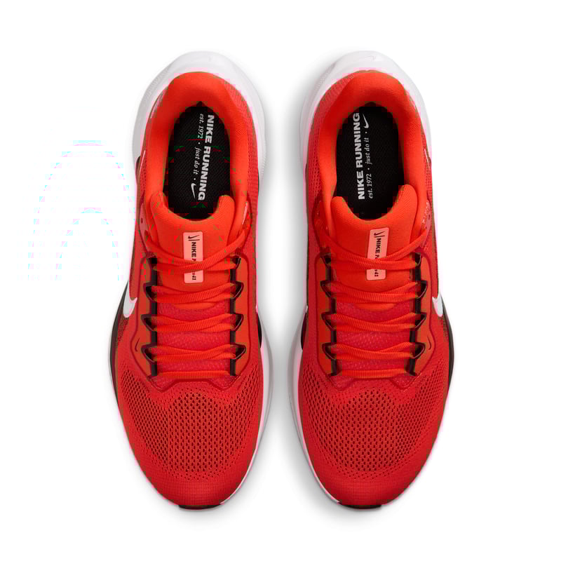 Nike Pegasus 41 x NFL IB3202-800 04