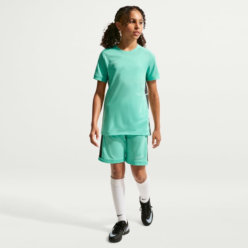 Nike Academy Dri-FIT HJ3716-354 04
