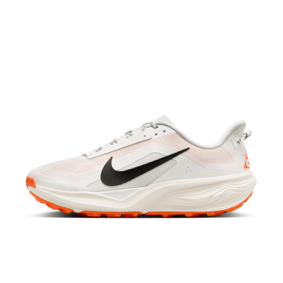 Nike ACG Pegasus HV8116-103 01