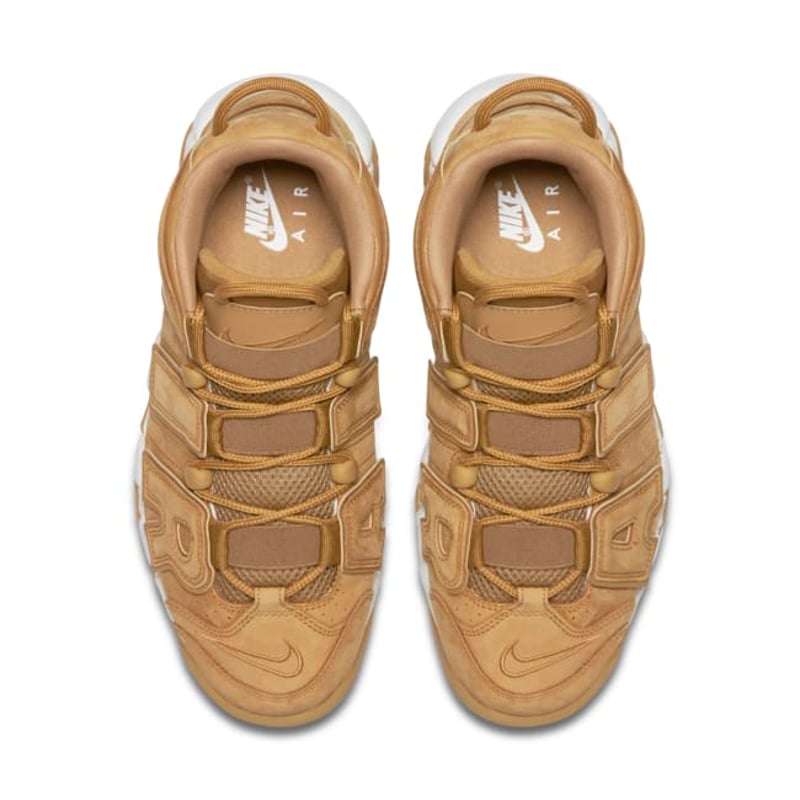 Nike Air More Uptempo PRM AA4060-200 04