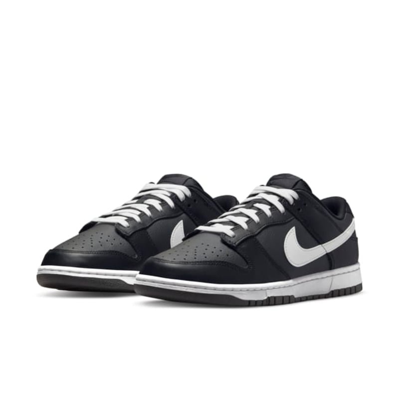 Nike Dunk Low DJ6188-002 06