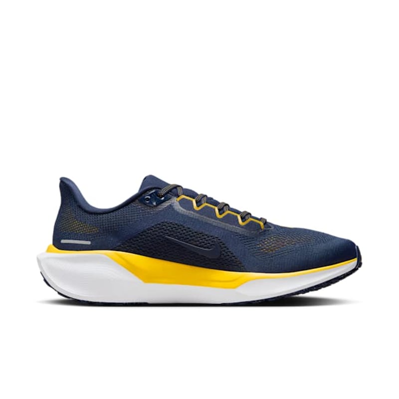 Nike Pegasus 41 FZ5128-400 03