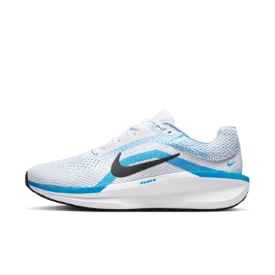 Nike Winflo 11 FJ9509-110