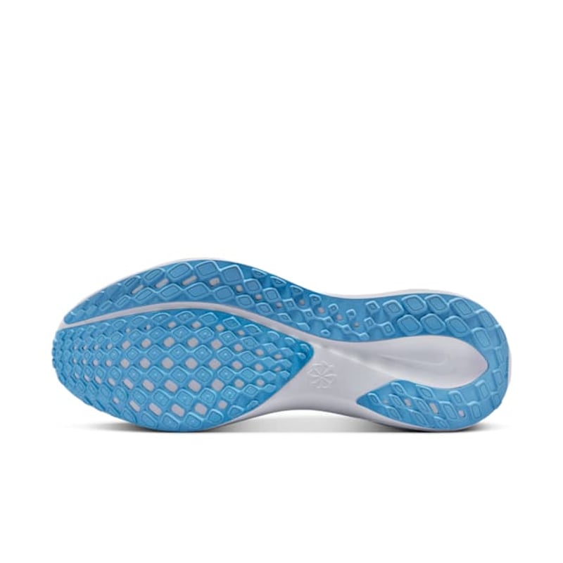 Nike Pegasus 41 FZ5149-400 02