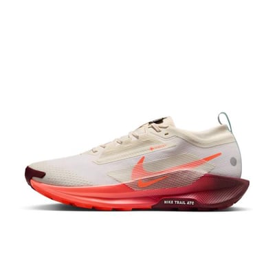 Nike Pegasus Trail 5 GORE-TEX FQ0908-104